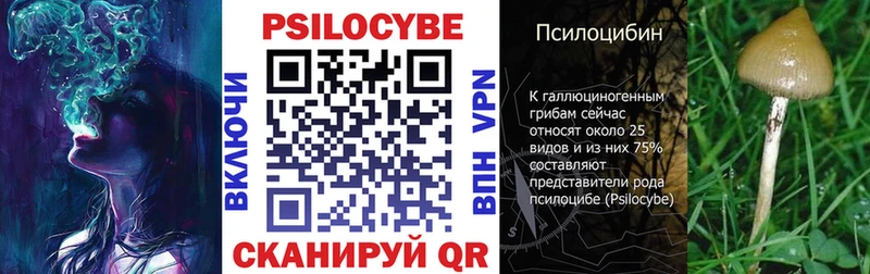blacksprut ССЫЛКА  купить наркотик  Пойковский  Псилоцибиновые грибы Cubensis 